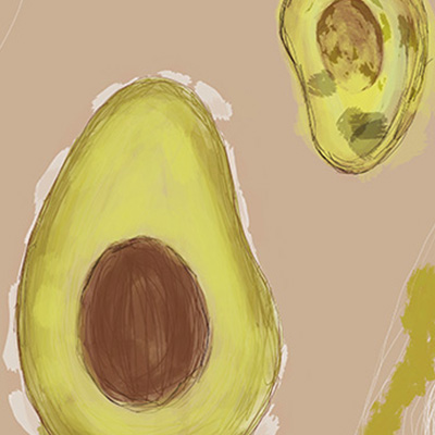 illustration of avocados