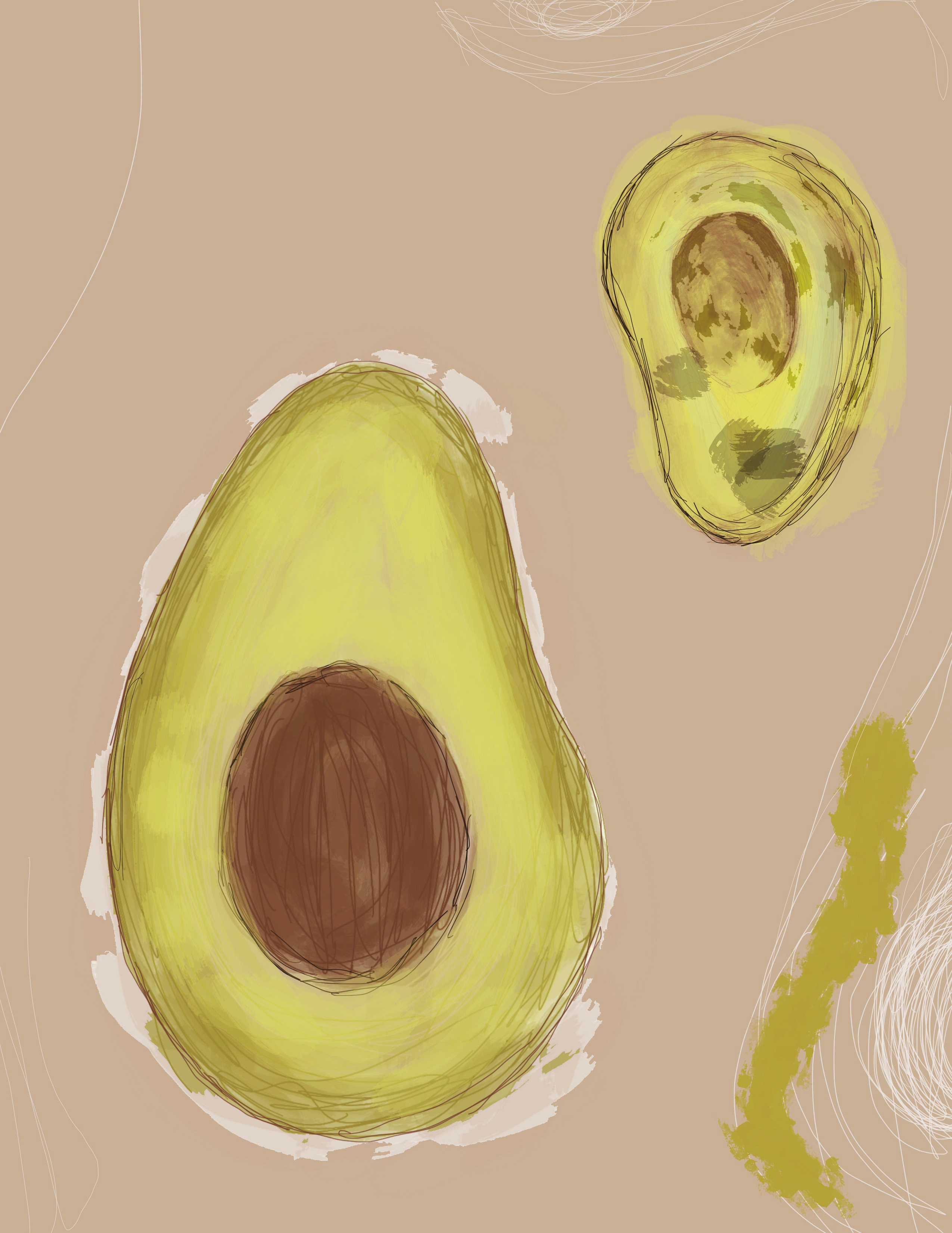 illustration of avocados